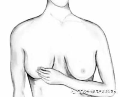微信图片_20180320092211.jpg