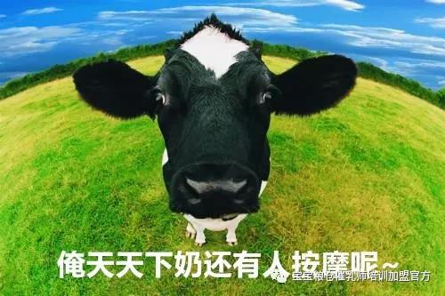 微信图片_20180510164517.jpg